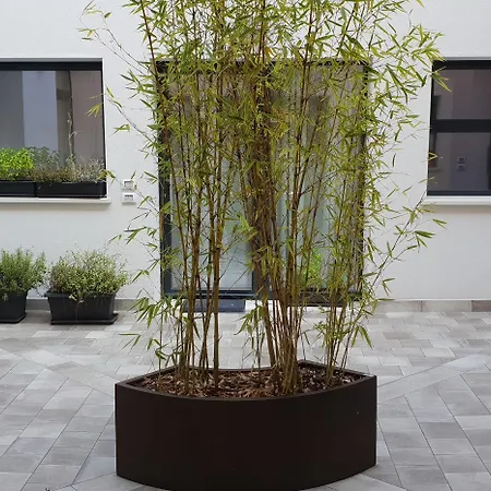 Design * Бергамо